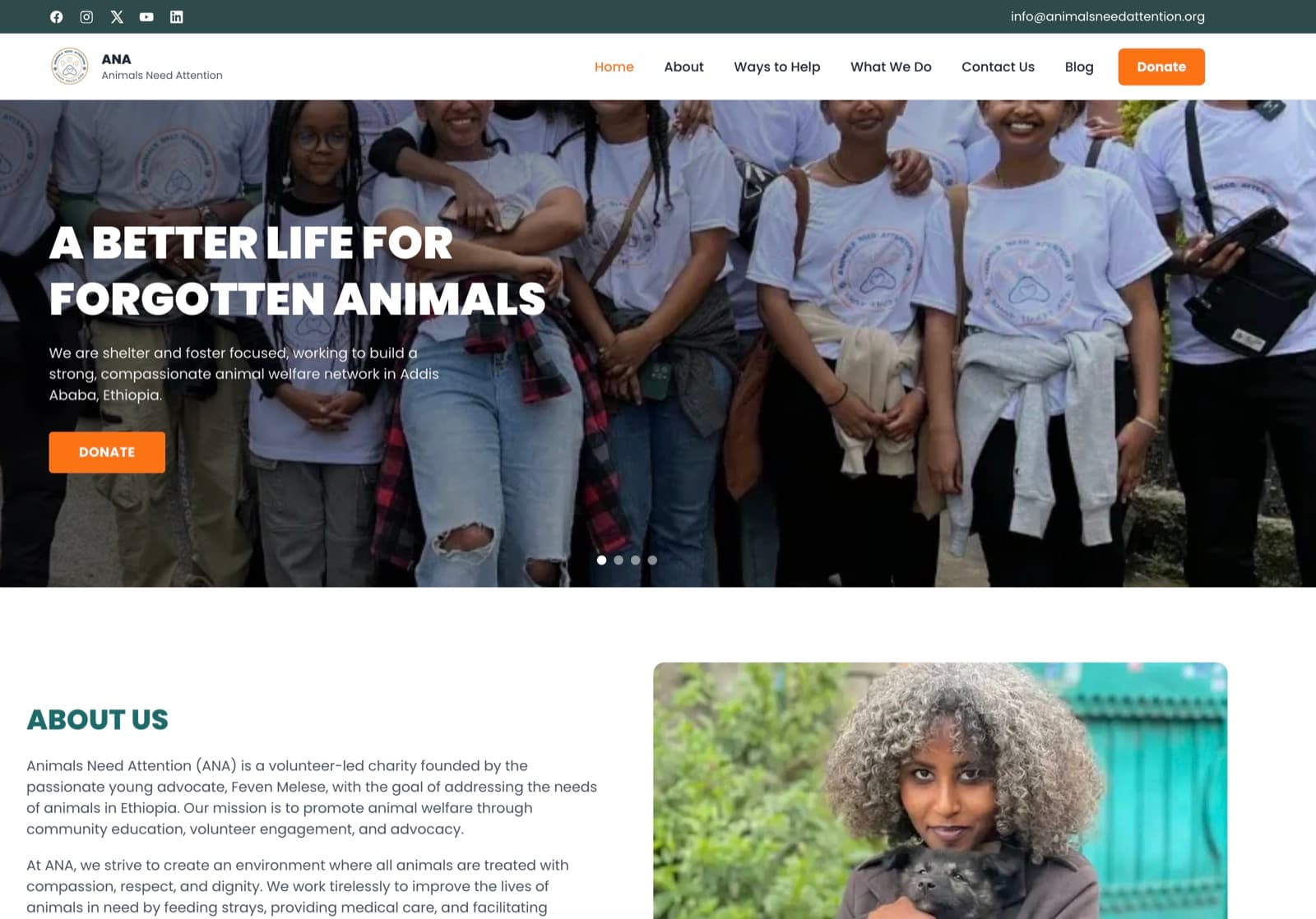 Animal Needs Rescue landing page design